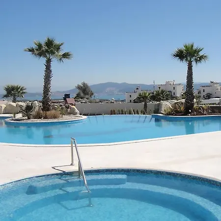 Apartment Horizon Sky Cherry 4 *